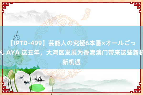 【IPTD-499】芸能人の究極6本番×オールごっくん AYA 这五年，大湾区发展为香港澳门带来这些新机遇