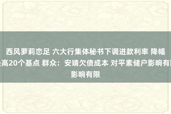 西风萝莉恋足 六大行集体秘书下调进款利率 降幅最高20个基点 群众：安靖欠债成本 对平素储户影响有限