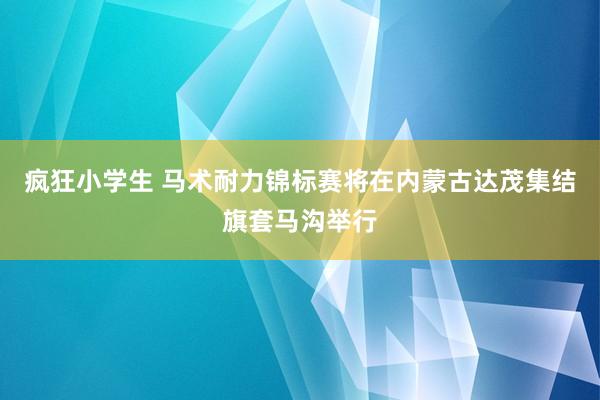 疯狂小学生 马术耐力锦标赛将在内蒙古达茂集结旗套马沟举行