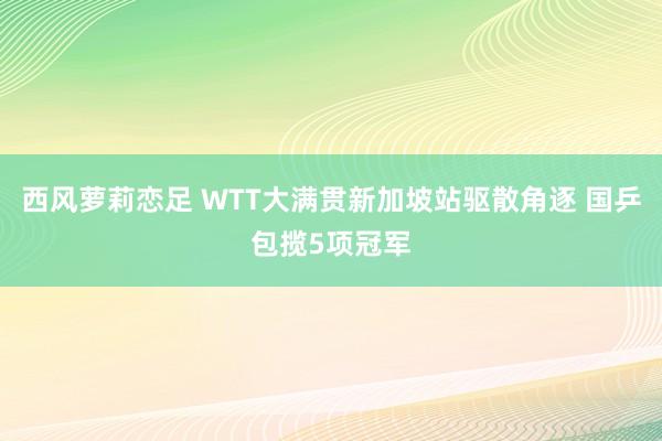 西风萝莉恋足 WTT大满贯新加坡站驱散角逐 国乒包揽5项冠军