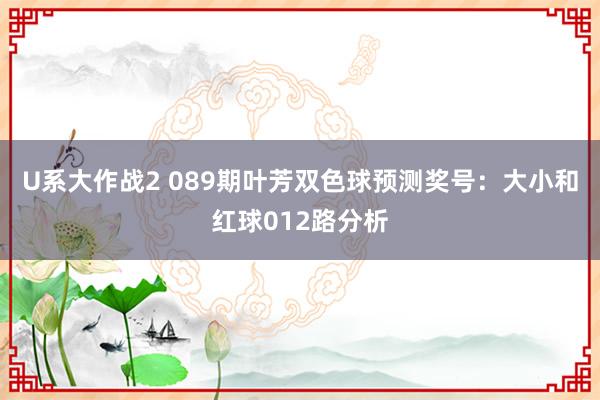 U系大作战2 089期叶芳双色球预测奖号：大小和红球012路分析