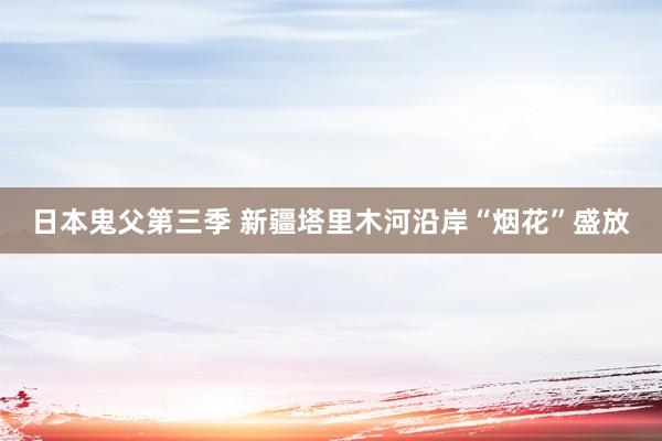 日本鬼父第三季 新疆塔里木河沿岸“烟花”盛放