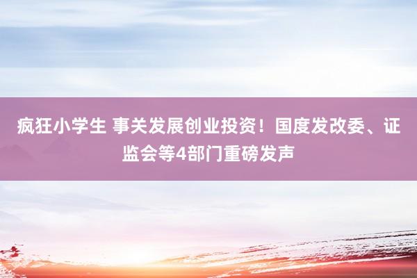 疯狂小学生 事关发展创业投资！国度发改委、证监会等4部门重磅发声