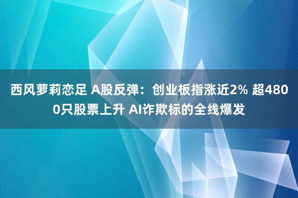 西风萝莉恋足 A股反弹：创业板指涨近2% 超4800只股票上升 AI诈欺标的全线爆发