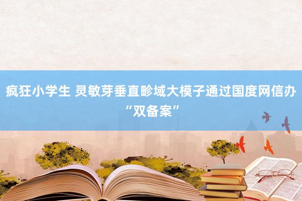 疯狂小学生 灵敏芽垂直畛域大模子通过国度网信办“双备案”