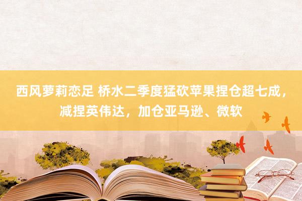 西风萝莉恋足 桥水二季度猛砍苹果捏仓超七成，减捏英伟达，加仓亚马逊、微软