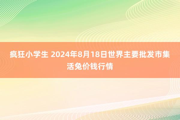 疯狂小学生 2024年8月18日世界主要批发市集活兔价钱行情