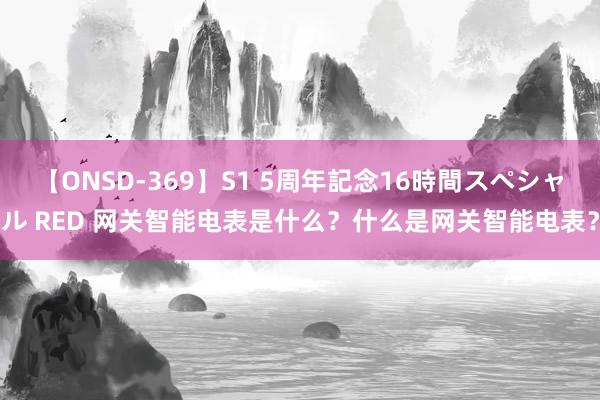 【ONSD-369】S1 5周年記念16時間スペシャル RED 网关智能电表是什么？什么是网关智能电表？