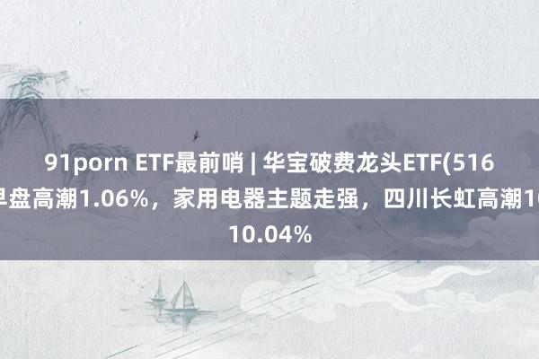 91porn ETF最前哨 | 华宝破费龙头ETF(516130)早盘高潮1.06%，家用电器主题走强，四川长虹高潮10.04%