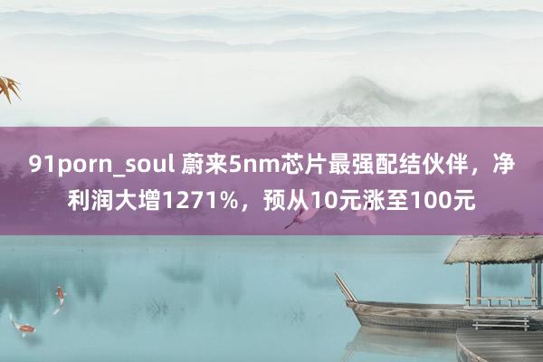 91porn_soul 蔚来5nm芯片最强配结伙伴，净利润大增1271%，预从10元涨至100元