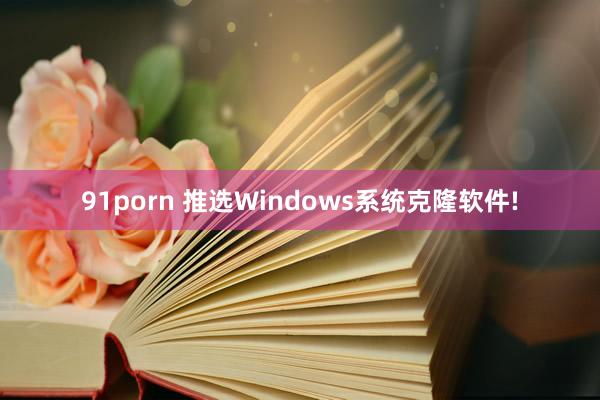 91porn 推选Windows系统克隆软件!