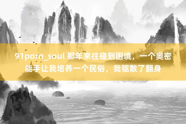 91porn_soul 那年来往碰到困境，一个奥密能手让我培养一个民俗，我驱散了翻身