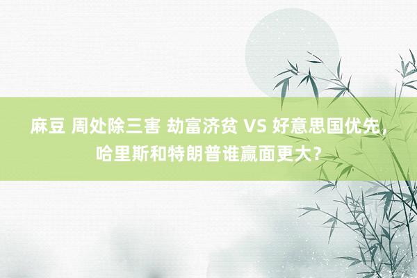 麻豆 周处除三害 劫富济贫 VS 好意思国优先，哈里斯和特朗普谁赢面更大？