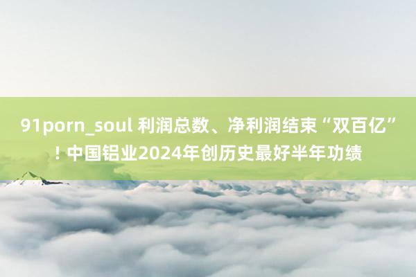 91porn_soul 利润总数、净利润结束“双百亿”! 中国铝业2024年创历史最好半年功绩