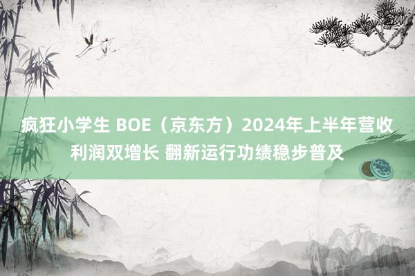 疯狂小学生 BOE（京东方）2024年上半年营收利润双增长 翻新运行功绩稳步普及