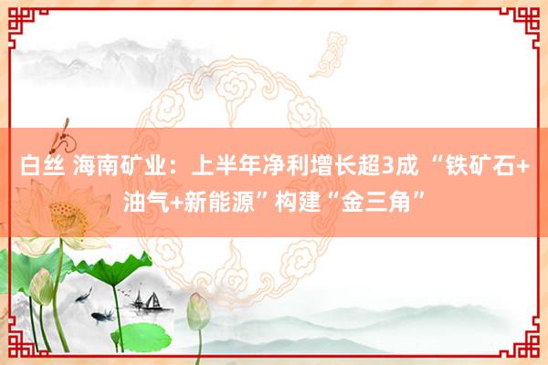 白丝 海南矿业：上半年净利增长超3成 “铁矿石+油气+新能源”构建“金三角”