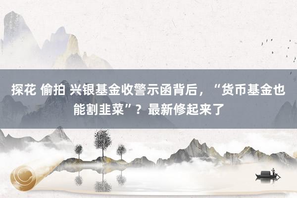 探花 偷拍 兴银基金收警示函背后，“货币基金也能割韭菜”？最新修起来了