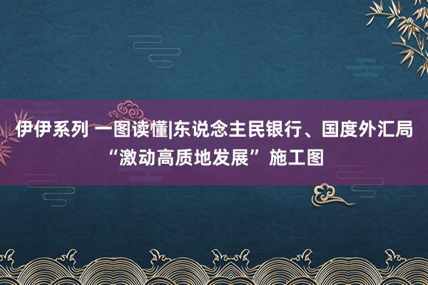 伊伊系列 一图读懂|东说念主民银行、国度外汇局“激动高质地发展” 施工图