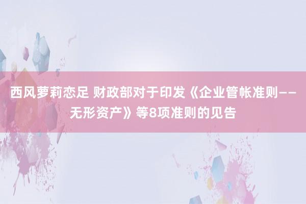 西风萝莉恋足 财政部对于印发《企业管帐准则——无形资产》等8项准则的见告