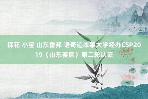 探花 小宝 山东番邦 语奇迹本事大学经办CSP2019（山东赛区）第二轮认证