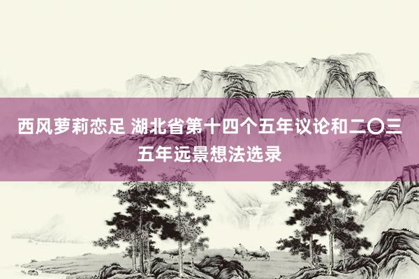 西风萝莉恋足 湖北省第十四个五年议论和二〇三五年远景想法选录