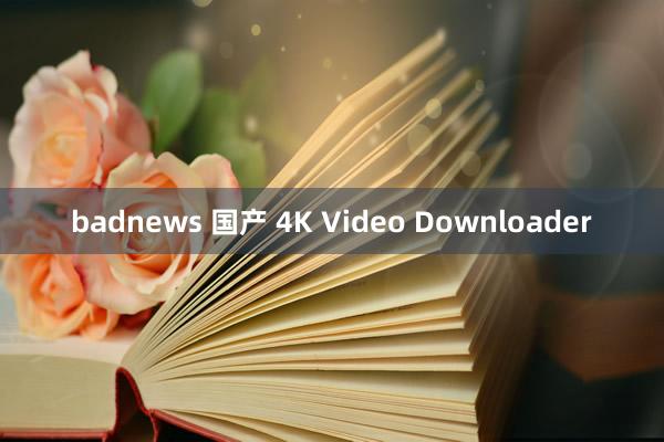 badnews 国产 4K Video Downloader