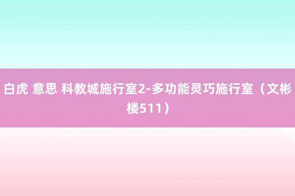 白虎 意思 科教城施行室2-多功能灵巧施行室（文彬楼511）