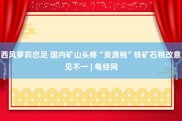 西风萝莉恋足 国内矿山头疼“资源税”铁矿石税改意见不一 | 每经网