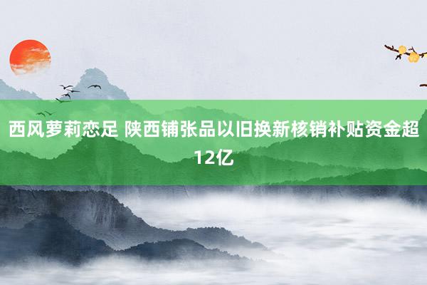 西风萝莉恋足 陕西铺张品以旧换新核销补贴资金超12亿